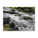McDowell Creek, Oregon Post Card