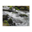 McDowell Creek, Oregon postcards