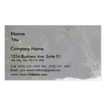 Mcway Falls Business Cards
