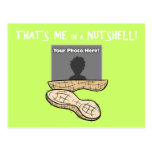 "Me in a Nutshell" Postcard