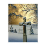 "Mea Culpa" by Conrad Mieschke Post Card
