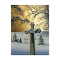"Mea Culpa" by Conrad Mieschke Post Card