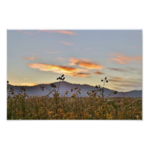 Meadow and Pike's Peak Art Photo