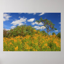 Meadow in Late Summer Poster