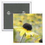 Meadow of Black Eyed Susans Pinback Buttons