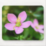 Meadow Pink - Sabatia campestris Mouse Pads