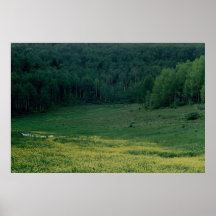 Meadow Print