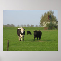 Meadow, Windmill & Cows Photo Poster Print