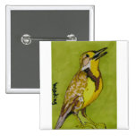 Meadowlark occidental pin's