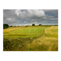 Meadows and Walls Post Card