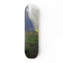 Meadows Foggy Smokey Sunbeams Custom Skate Board