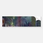 Meadows Lightrays Beams Forests Trees Bumper Stickers