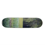 Meadows Moss Trees Custom Skate Board