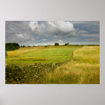 Meadows - Poster
