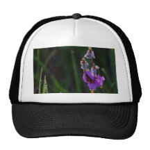 Meadows Wildflowers Dew Trucker Hats