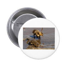 Meal Time Button