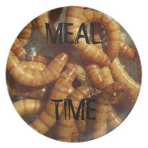 "Meal Time" Mealworms Plate