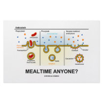 Mealtime Anyone? (Endocytosis Digestion Humour)