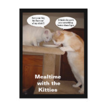 Mealtime with the Kitties