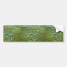 Meandering River Bumper Stickers