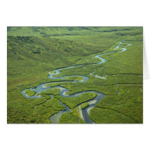 Meandering River Card