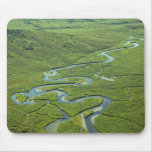Meandering River Mouse Pads