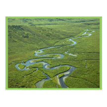 Meandering River Post Card