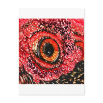 MeatEye Postcards