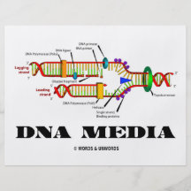 Médias d'ADN Prospectus