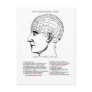 Medical Humanities Phrenology Postcards
