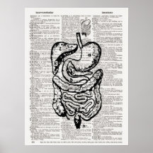 Medical Illustration Dictionary Art Posters