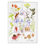 Medicinal Herbs Echinacea Poppy Garlic Notecard