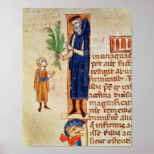 Medicinal Plants Posters