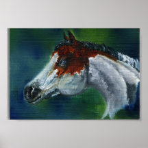 Medicine Hat Pinto Horse Poster
