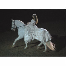 Medieval Fantasy - photo sculpture