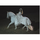 Medieval Fantasy - photo sculpture photo sculptures