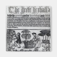 Medieval Herb Garden Refrigerator Magnets