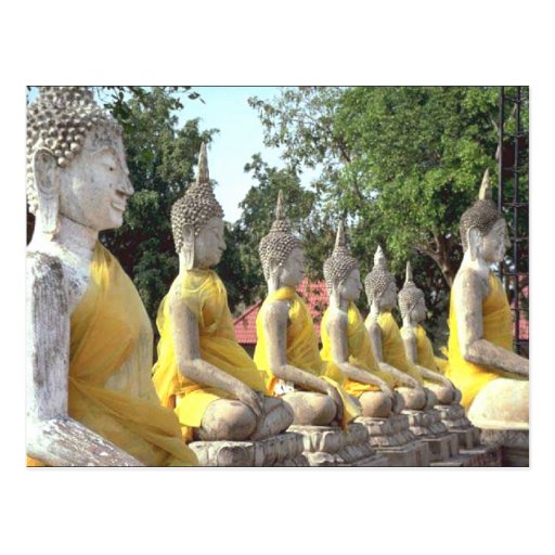 Meditation Postcards