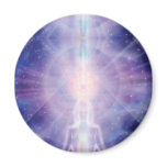 Meditator Fridge Magnets