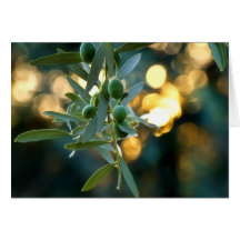 Mediterranean Gold; Olives On It’s Tree Branch Greeting Card