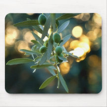 Mediterranean Gold; Olives On It’s Tree Branch Mousepads