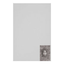 Medusa Stationery
