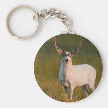 Meeker's White Buck 2 Key Chain