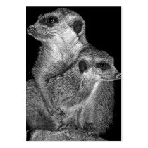 Meerkat and Pup, B & W, Black Back Business Card
