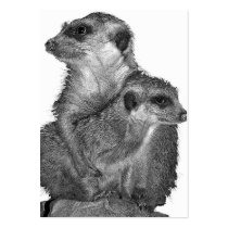 Meerkat and Pup, B & W, White Back Business Card