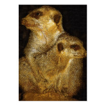 Meerkat and Pup,Black Back, Oil (3) Business Cards