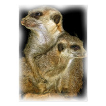 Meerkat and Pup in Oil, jagged edge Business Card