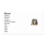 meerkat baby twins business card templates