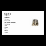 meerkat baby twins business cards