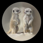 Meerkat baby twins stickers